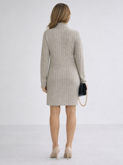 Sylvie Ribbed Turtleneck in Beige – Women's Mini Dress